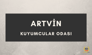 artvin