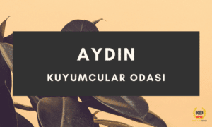 aydinkuyumcularodasi