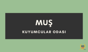 muskuyumcularodasi