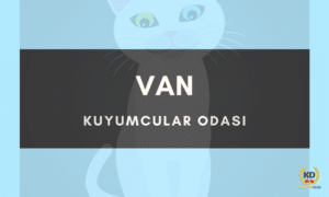 vankuyumcularodasi